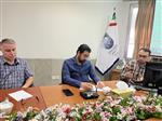 شریفی