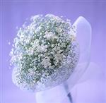 ازدواج